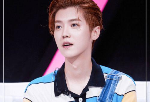 娱乐吃瓜张雨绮和鹿晗,揭秘娱乐圈的“瓜”与“情”